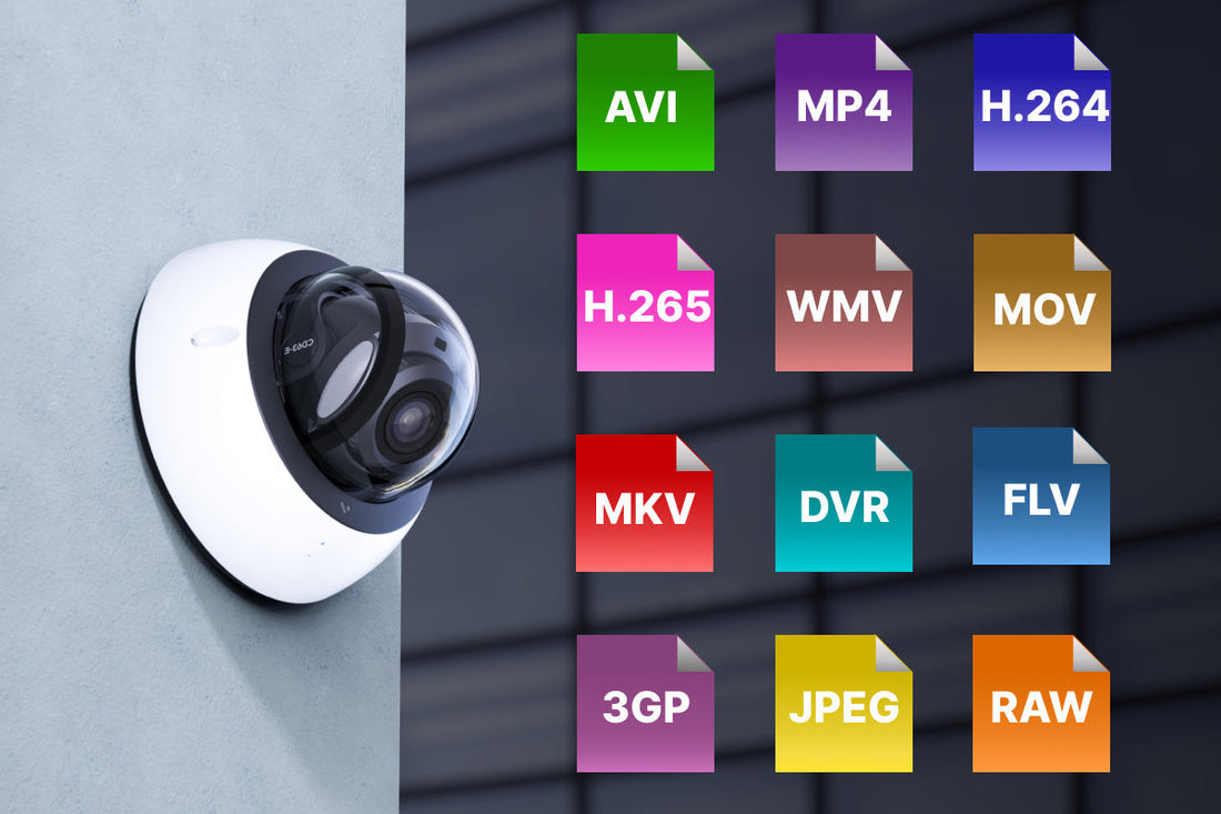 Video File Formats