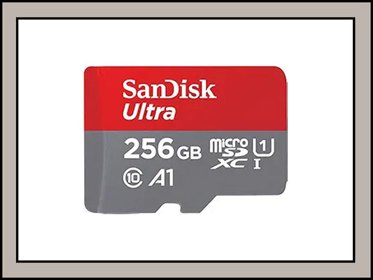 SanDisk Ultra 256 GB Memory card